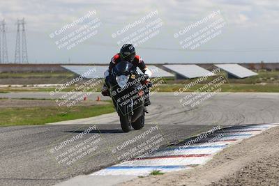 media/Mar-23-2025-TrackDaz (Sun) [[88a7749186]]/A Group/12pm (Wheelie Bump)/